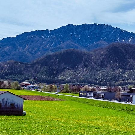 Zentrale Wohnung Mit Alpenblick Micheldorf in Oberosterreich Exterior photo